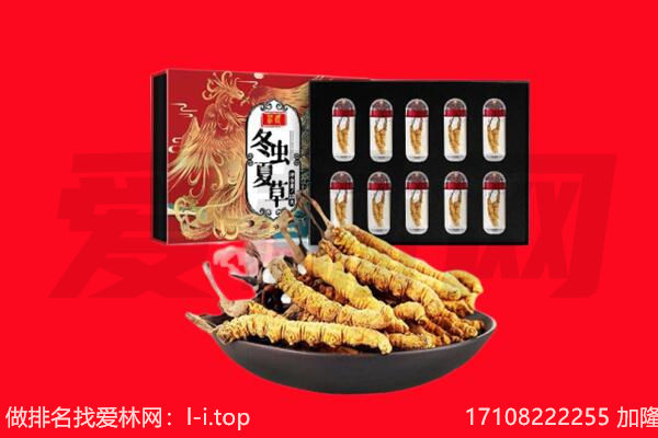 广州回收虫草.jpg